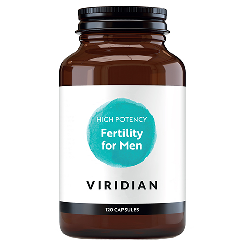 Male Fertility